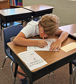 Student completes an activity worksheet.