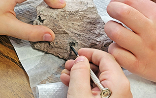 Students look for raw gems in rocks as part of a gemology unit.